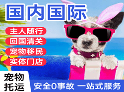 东极航空空运国际宠物托运 【国